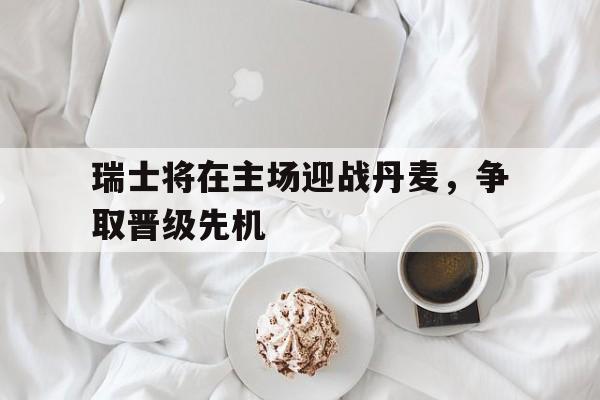 瑞士将在主场迎战丹麦，争取晋级先机的简单介绍