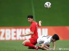 斯洛伐克国脚表现出色，成功晋级的简单介绍