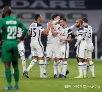 关于伯恩茅斯主场不敌托特纳姆热刺，遭遇连败之势的信息