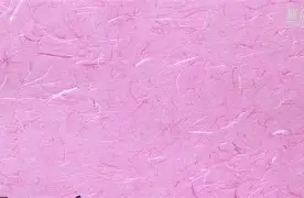 关于世界女足大赛掀起热潮，赛场精彩无限的信息